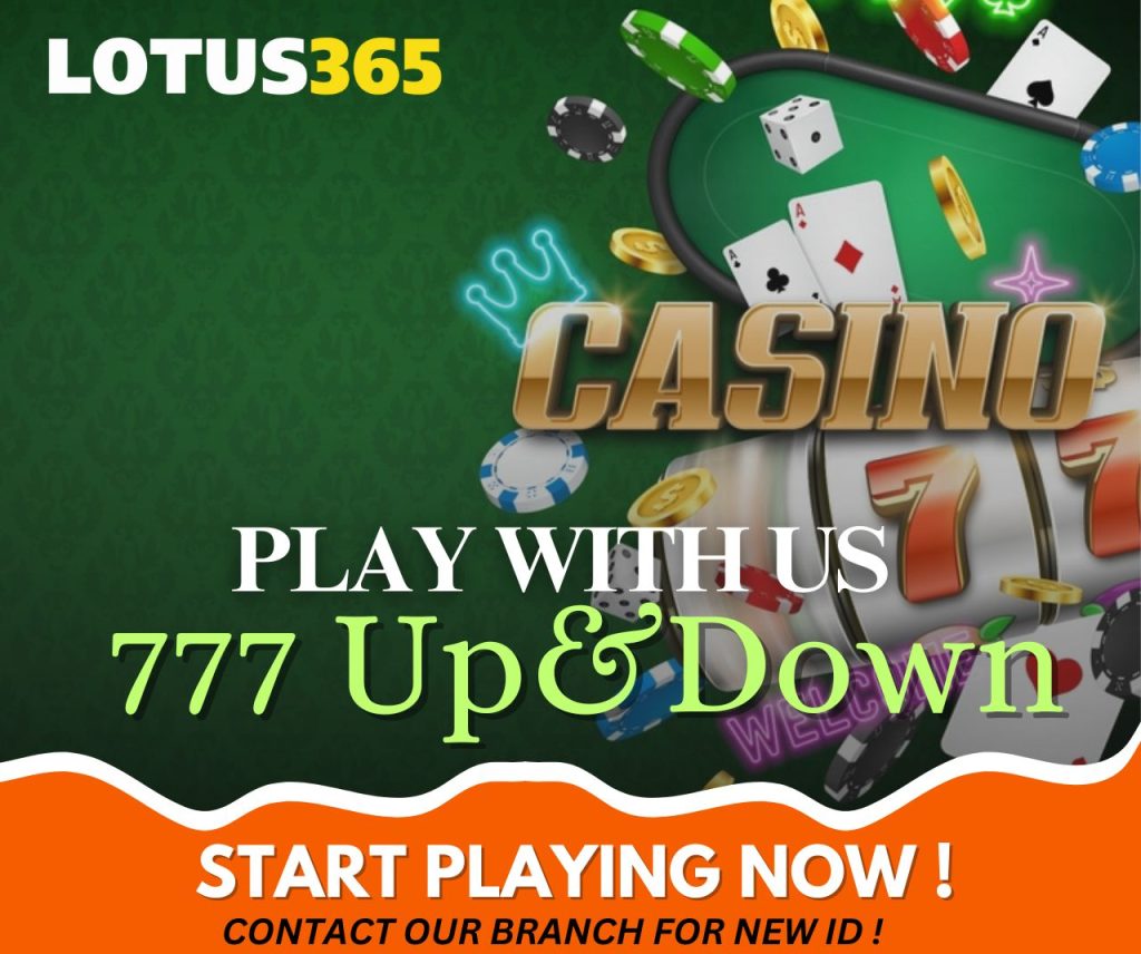 Lotus365 betting platform