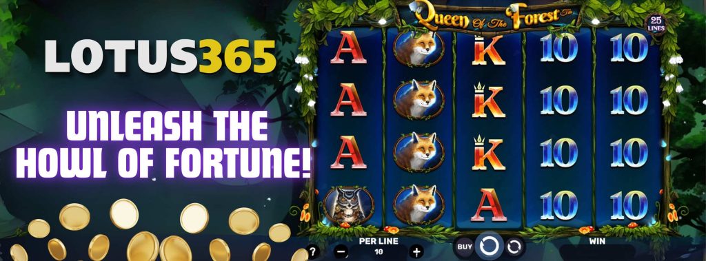 How to play Queen of the Forest slot