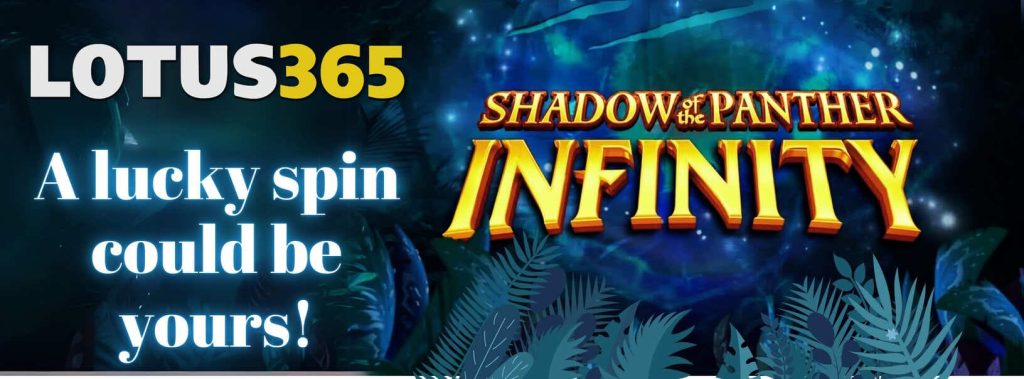 Shadow of the Panther Infinity features